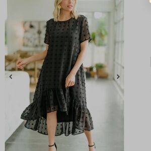 ENTRO Sheer  Dot Midi Dress NWT